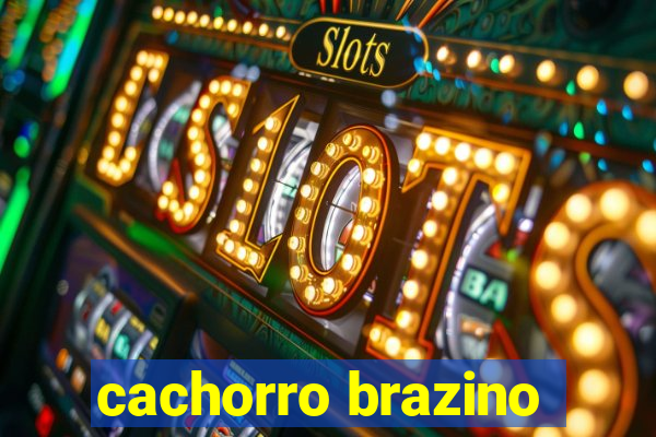 cachorro brazino